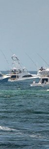 Panama City Beach Fishing Rodeo