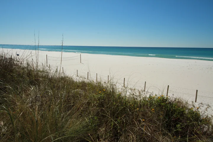 Sterling Reef | Panama City Beach Florida | Resort Collection Sterling Reef | Panama City Beach Florida | Resort Collection
