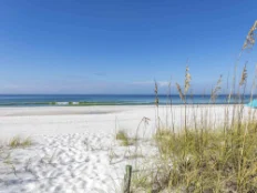 Simply the Best Beach Simply the Best Beach